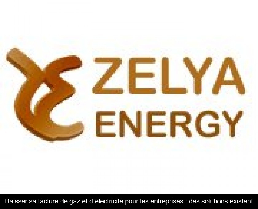 Baisser sa facture de gaz et d'électricité pour les entreprises : des solutions existent Baisser sa facture de gaz et d'électricité pour les entreprises : des solutions existent
