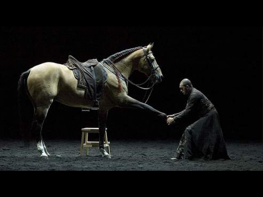 Bartabas : un homme, des chevaux, de l’art Bartabas : un homme, des chevaux, de l’art