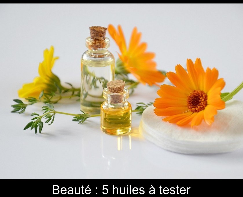 Beauté : 5 huiles à tester Beauté : 5 huiles à tester