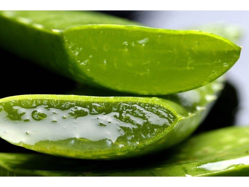 Beauté : 5 recettes à base de gel d'aloe vera Beauté : 5 recettes à base de gel d'aloe vera