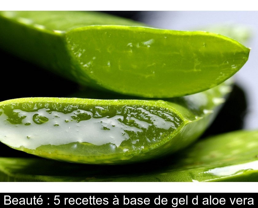 Beauté : 5 recettes à base de gel d'aloe vera