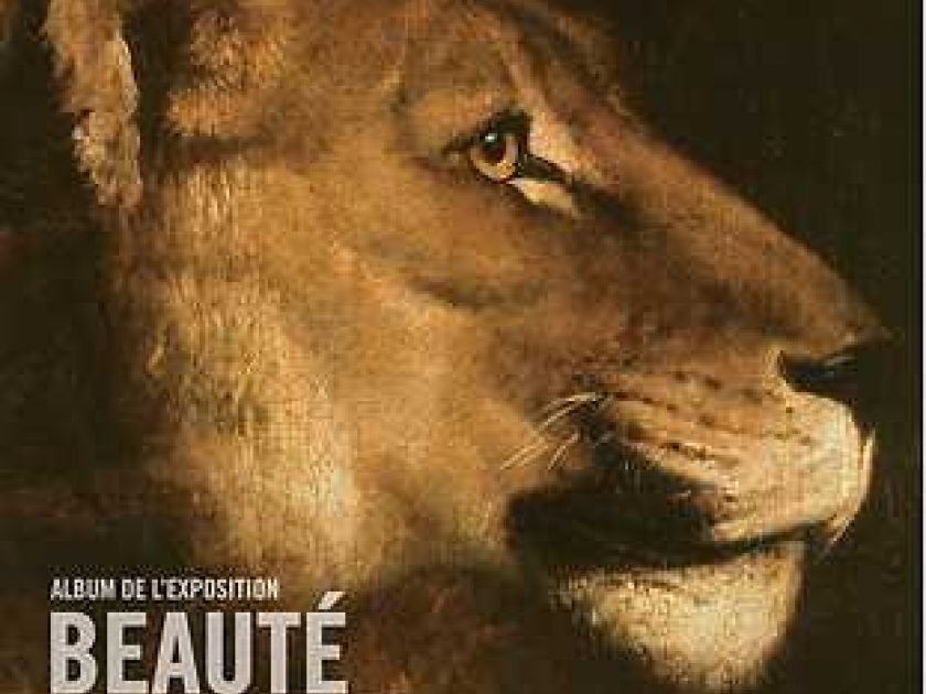 Beauté animale : une exposition qui a du chien Beauté animale : une exposition qui a du chien