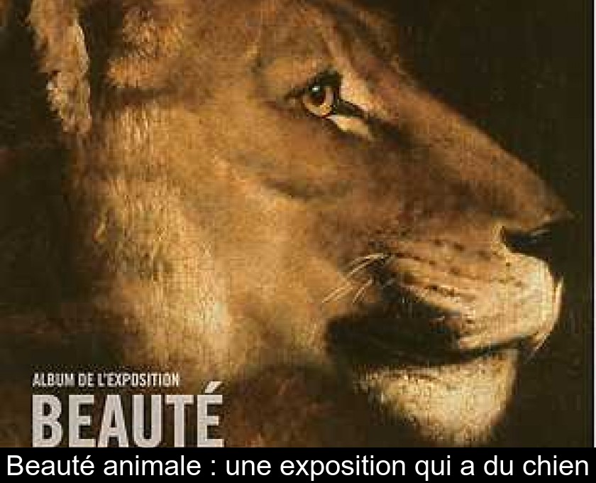 Beauté animale : une exposition qui a du chien Beauté animale : une exposition qui a du chien