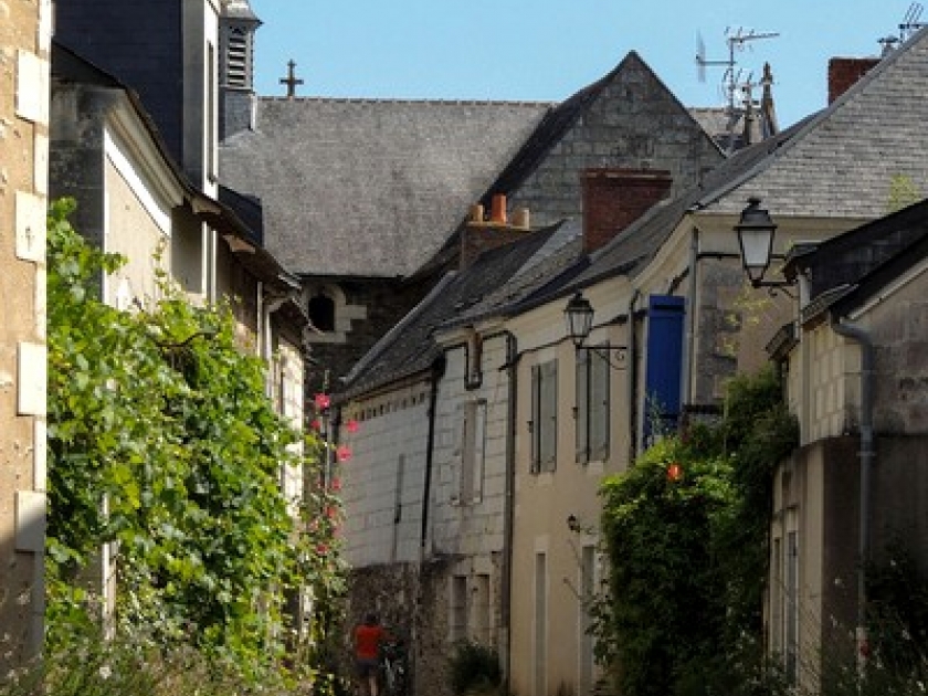 Béhuard : une île sur la Loire Béhuard : une île sur la Loire