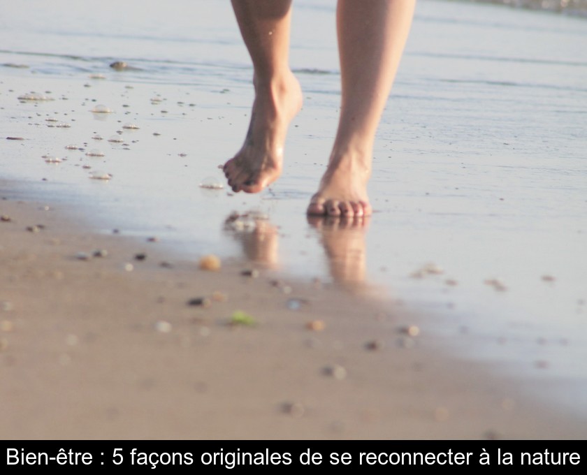 Bien-être : 5 façons originales de se reconnecter à la nature Bien-être : 5 façons originales de se reconnecter à la nature
