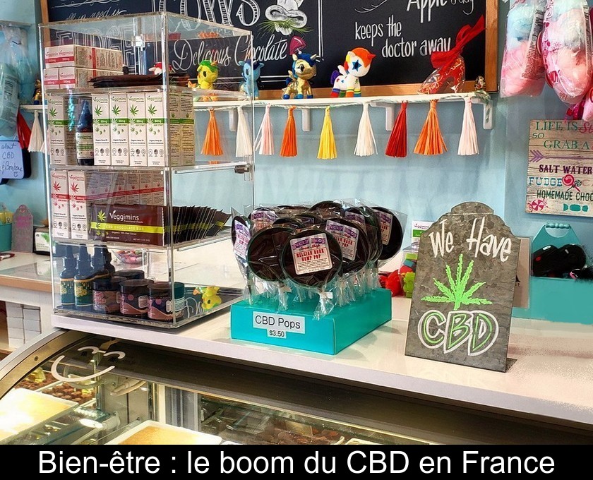 Bien-être : le boom du CBD en France Bien-être : le boom du CBD en France