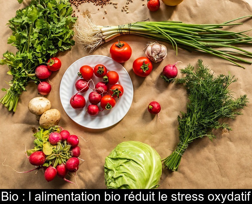 Bio : l'alimentation bio réduit le stress oxydatif Bio : l'alimentation bio réduit le stress oxydatif