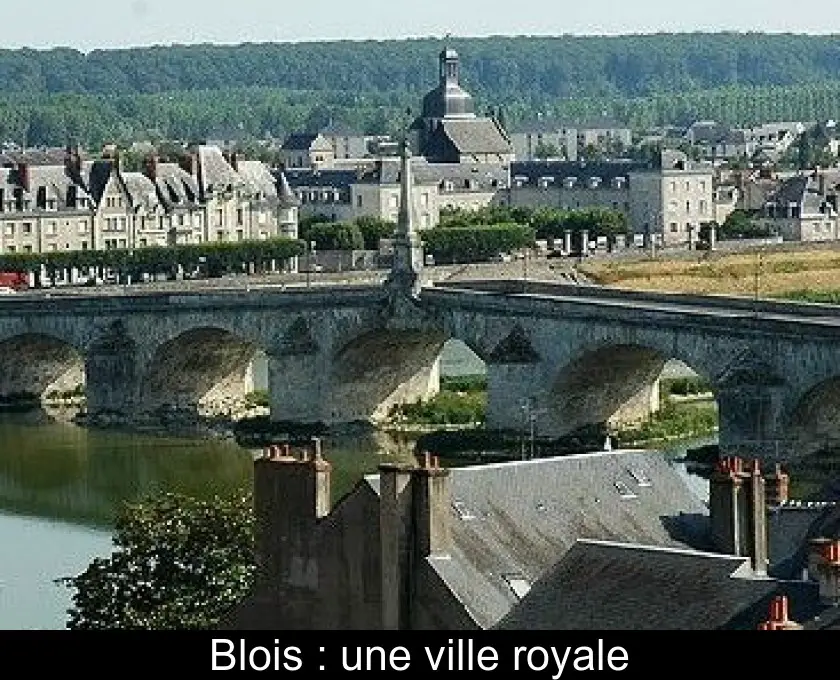 Blois : une ville royale