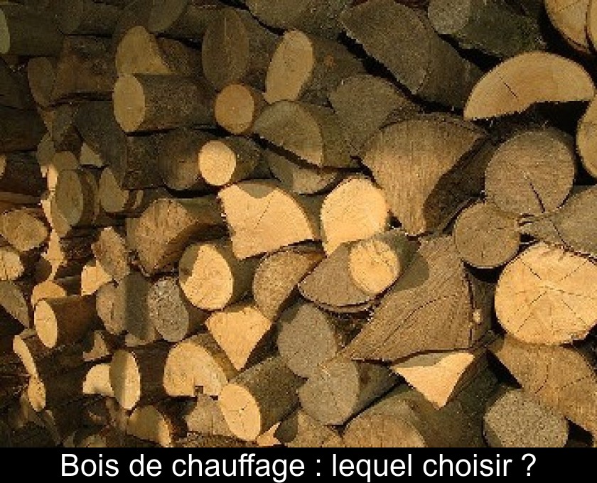 Bois de chauffage : lequel choisir ? Bois de chauffage : lequel choisir ?