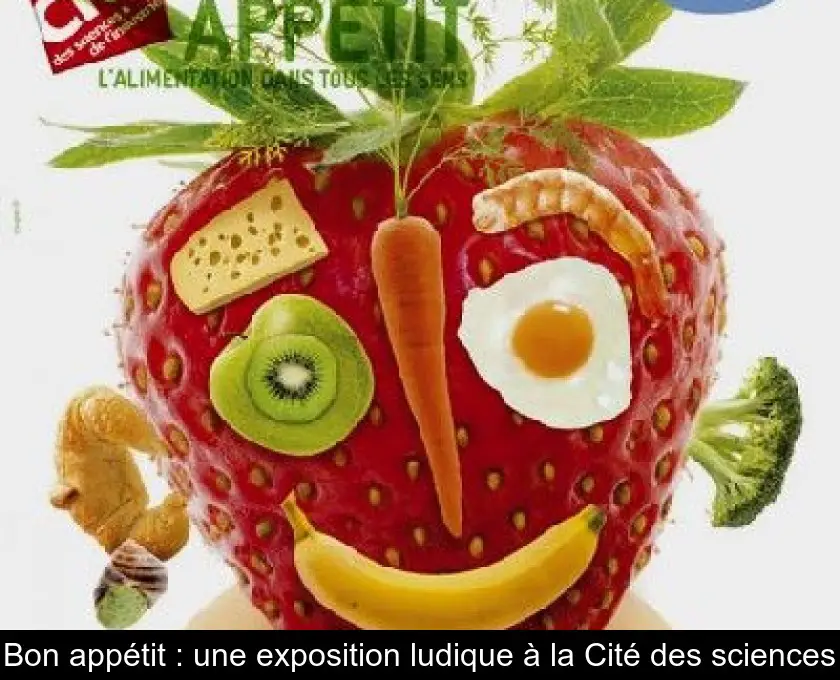 Bon appétit : une exposition ludique à la Cité des sciences