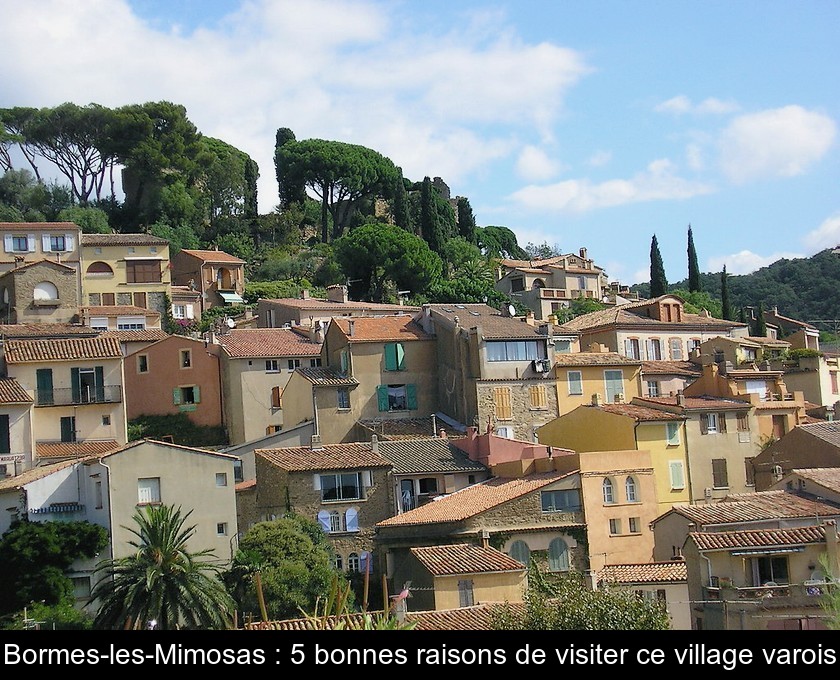 Bormes-les-Mimosas : 5 bonnes raisons de visiter ce village varois