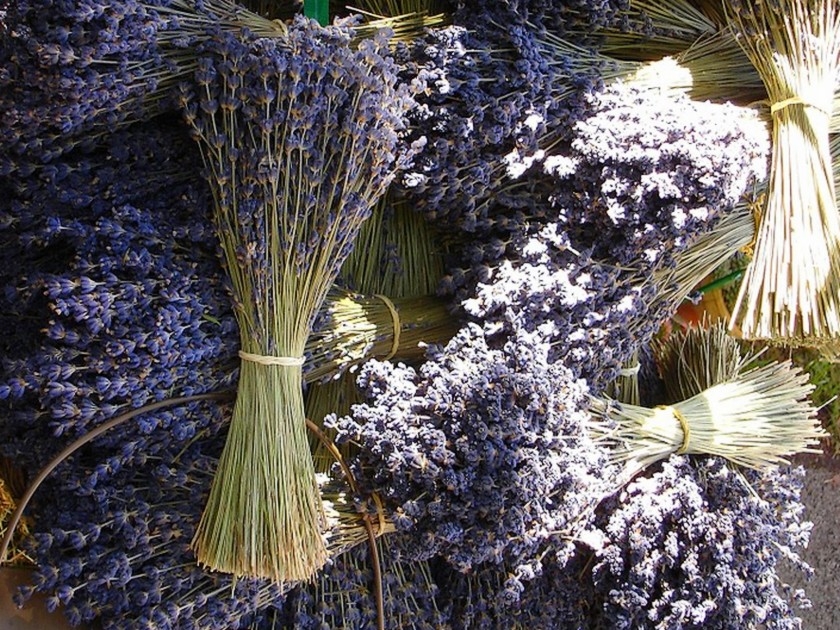 Bouquets : 5 fleurs à faire sécher Bouquets : 5 fleurs à faire sécher