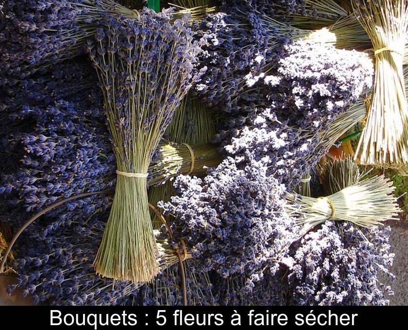 Bouquets : 5 fleurs à faire sécher