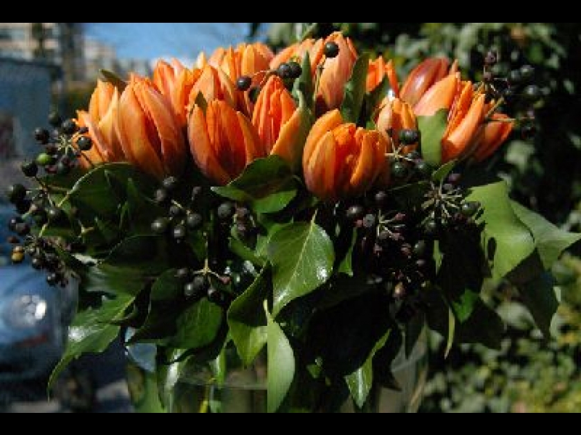 Bouquets de fleurs : des astuces pour les faire durer Bouquets de fleurs : des astuces pour les faire durer