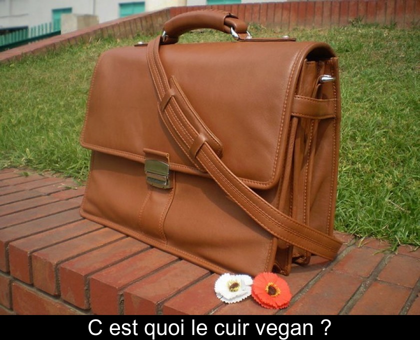 C'est quoi le cuir vegan ?