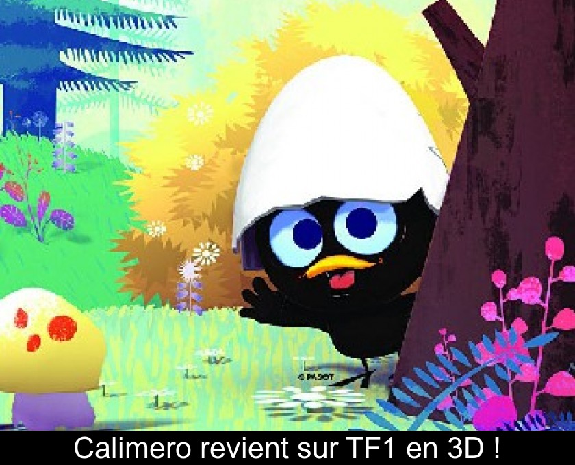 Calimero revient sur TF1 en 3D ! Calimero revient sur TF1 en 3D !
