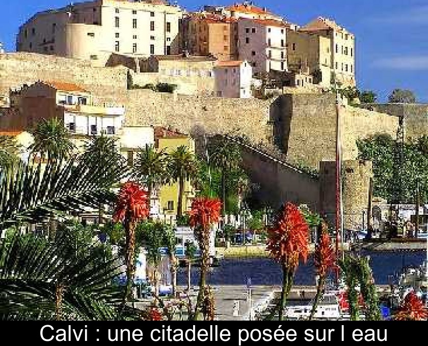 Calvi : une citadelle posée sur l'eau Calvi : une citadelle posée sur l'eau