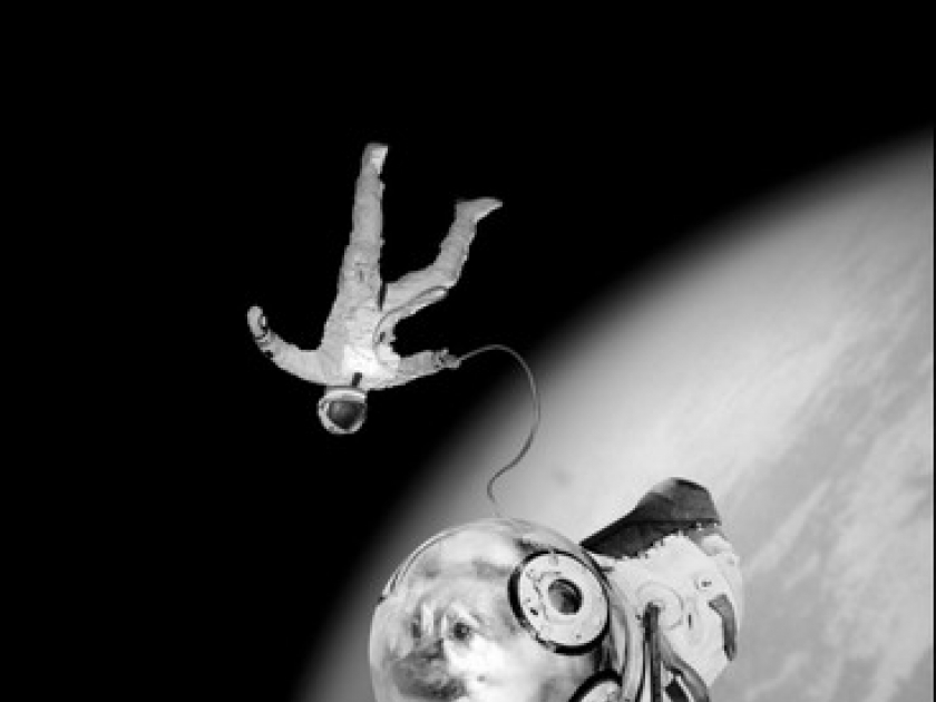 Camouflages : une exposition de Joan Fontcuberta à la MEP Camouflages : une exposition de Joan Fontcuberta à la MEP