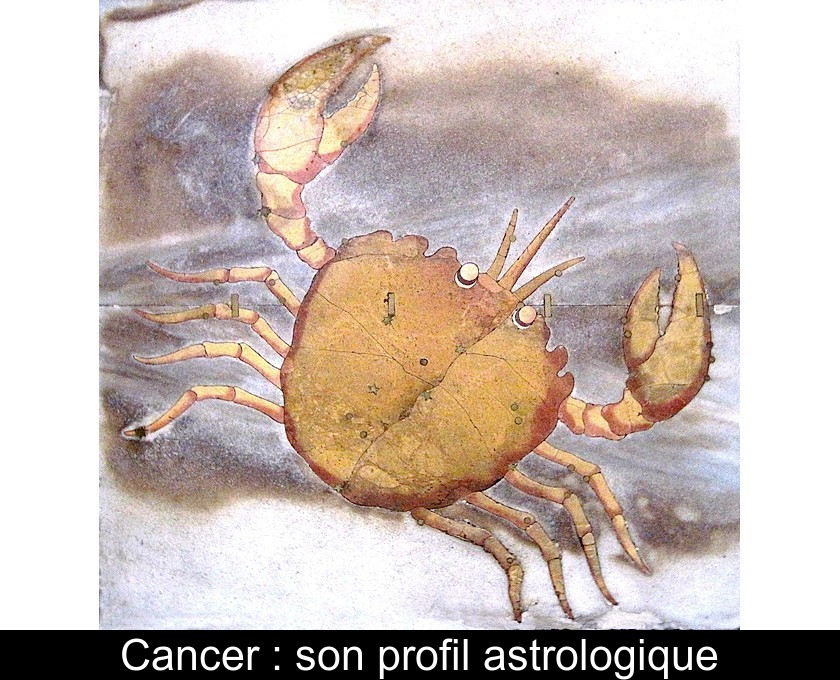 Cancer : son profil astrologique Cancer : son profil astrologique