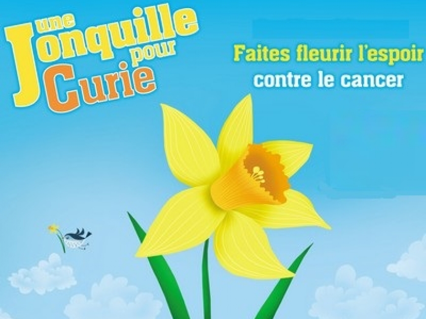 Cancer : une jonquille pour Curie Cancer : une jonquille pour Curie