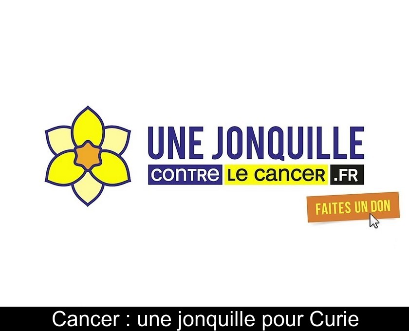 Cancer : une jonquille pour Curie Cancer : une jonquille pour Curie