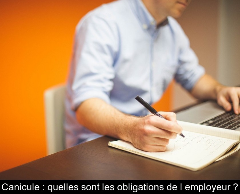 Canicule : quelles sont les obligations de l'employeur ?