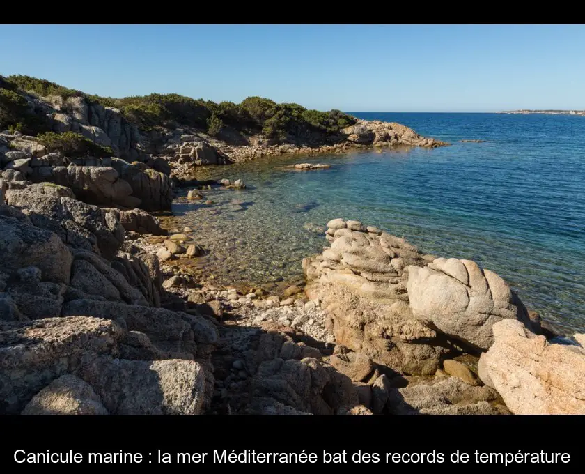 Canicule marine : la mer Méditerranée bat des records de température