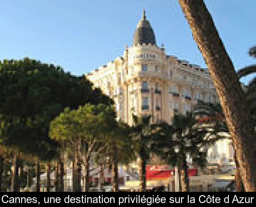 Cannes, une destination privilégiée sur la Côte d'Azur