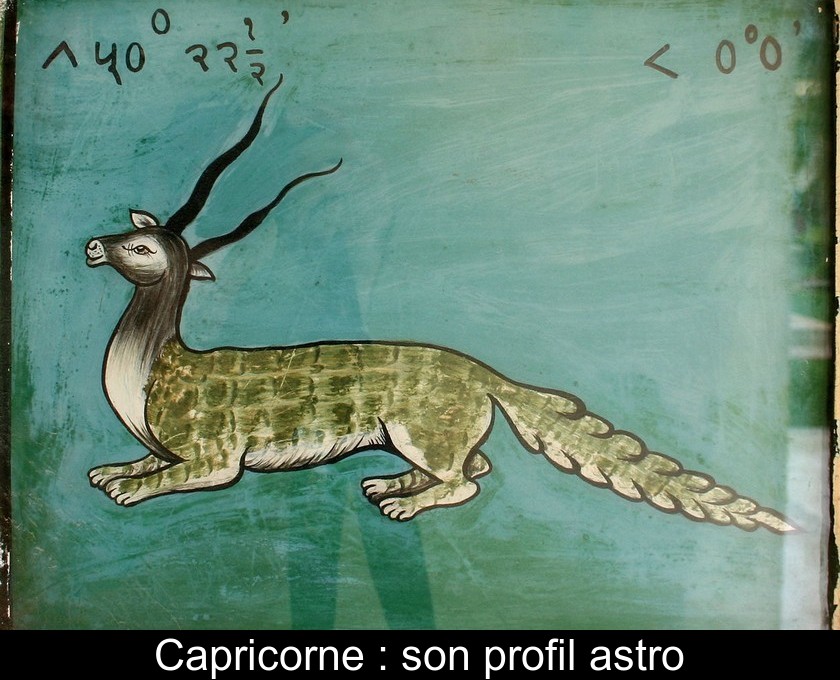 Capricorne : son profil astro Capricorne : son profil astro