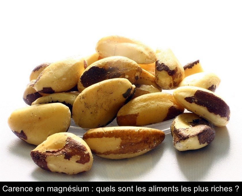 Carence en magnésium : quels sont les aliments les plus riches ? Carence en magnésium : quels sont les aliments les plus riches ?