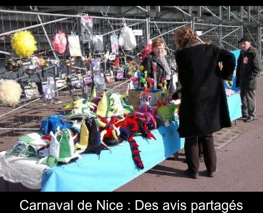 Carnaval de Nice : Des avis partagés Carnaval de Nice : Des avis partagés
