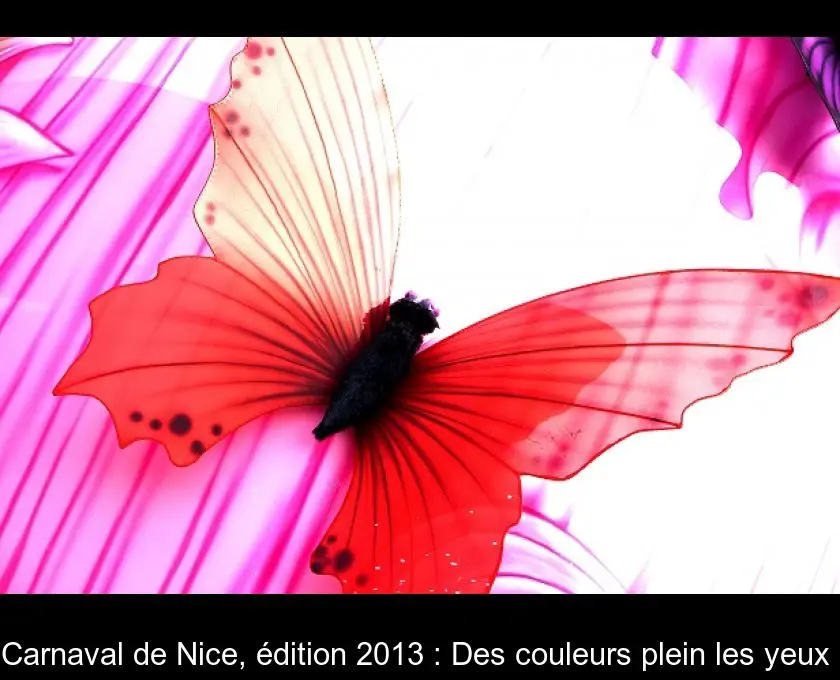 Carnaval de Nice, édition 2013 : Des couleurs plein les yeux 