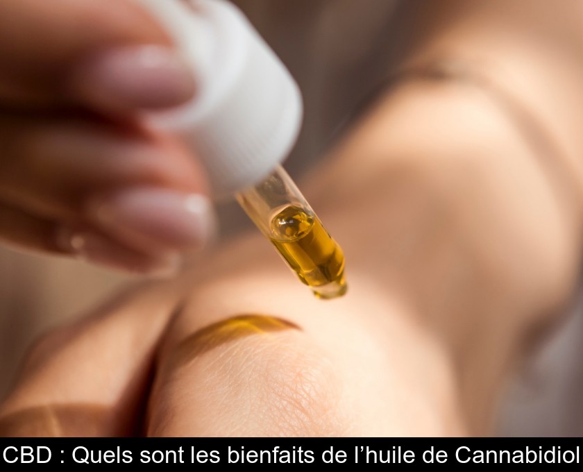 CBD : Quels sont les bienfaits de l’huile de Cannabidiol