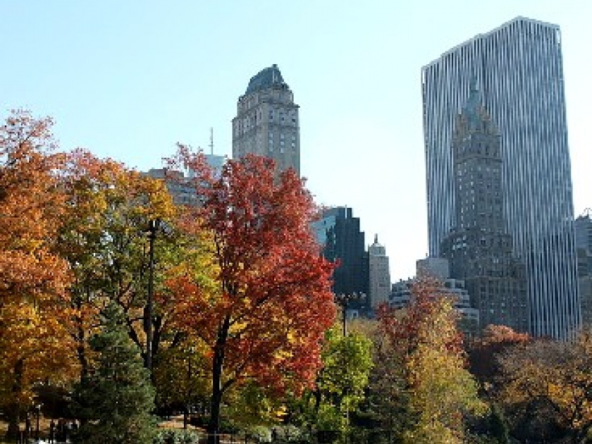 Central Park : le plus grand parc de New York Central Park : le plus grand parc de New York