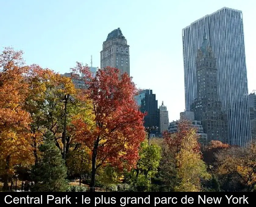 Central Park : le plus grand parc de New York 
