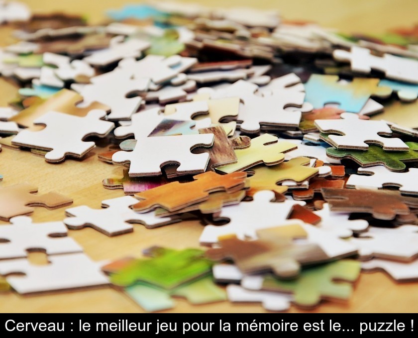 Cerveau : le meilleur jeu pour la mémoire est le... puzzle !