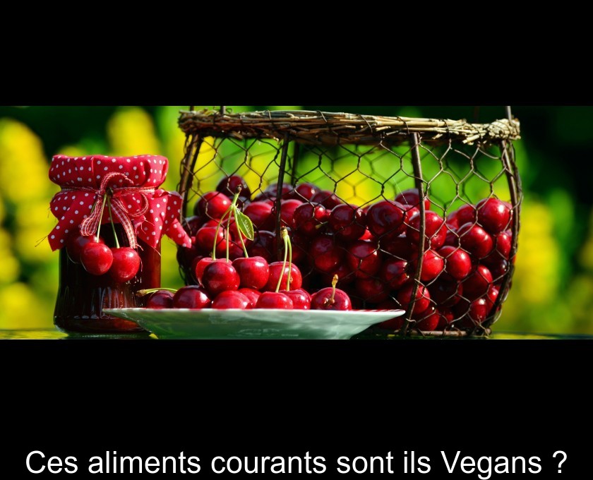 Ces aliments courants sont ils Vegans ? Ces aliments courants sont ils Vegans ?
