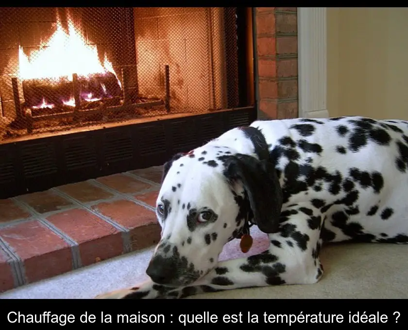 Chauffage de la maison : quelle est la température idéale ?