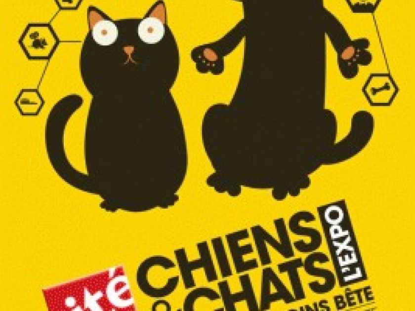 Chiens et chats : une expo pas bête à la Cité des Sciences Chiens et chats : une expo pas bête à la Cité des Sciences