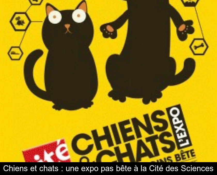 Chiens et chats : une expo pas bête à la Cité des Sciences