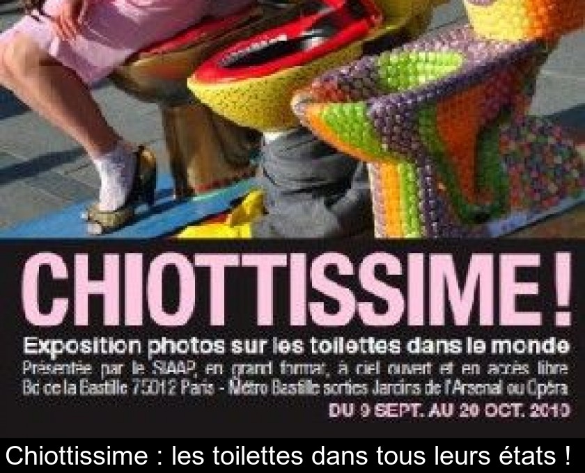 Chiottissime : les toilettes dans tous leurs états ! 