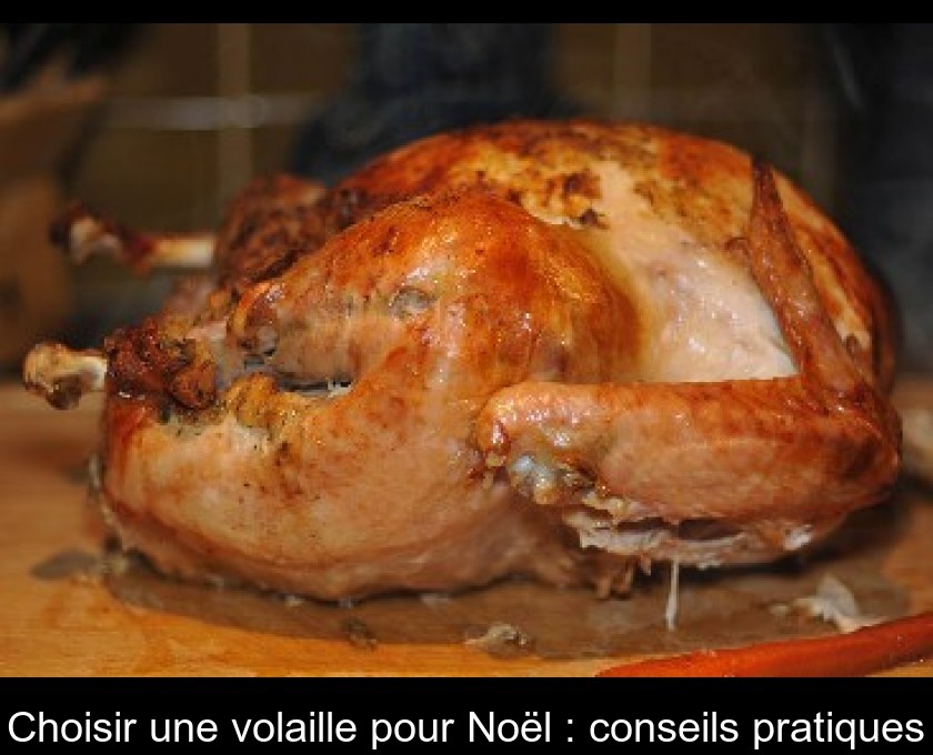 Choisir une volaille pour Noël : conseils pratiques