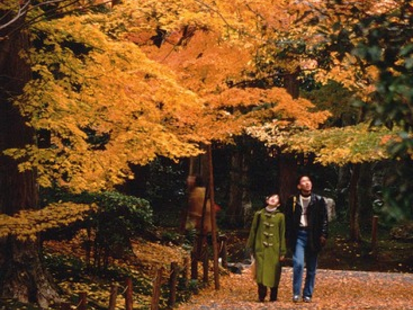 Cinq conseils pour un automne en pleine forme Cinq conseils pour un automne en pleine forme