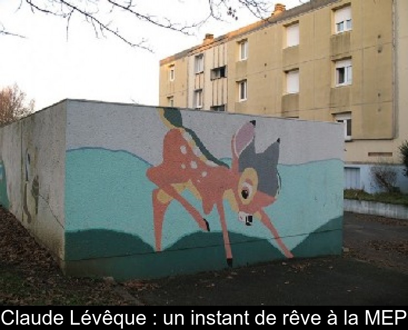 Claude Lévêque : un instant de rêve à la MEP Claude Lévêque : un instant de rêve à la MEP