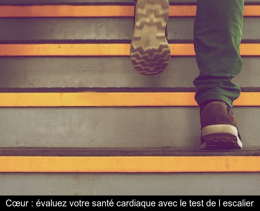 Cœur : évaluez votre santé cardiaque avec le test de l'escalier Cœur : évaluez votre santé cardiaque avec le test de l'escalier