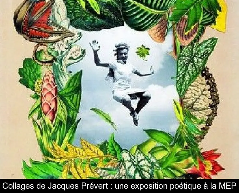 Collages de Jacques Prévert : une exposition poétique à la MEP