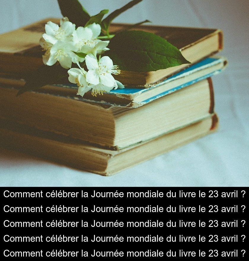 Comment célébrer la Journée mondiale du livre le 23 avril ? Comment célébrer la Journée mondiale du livre le 23 avril ?