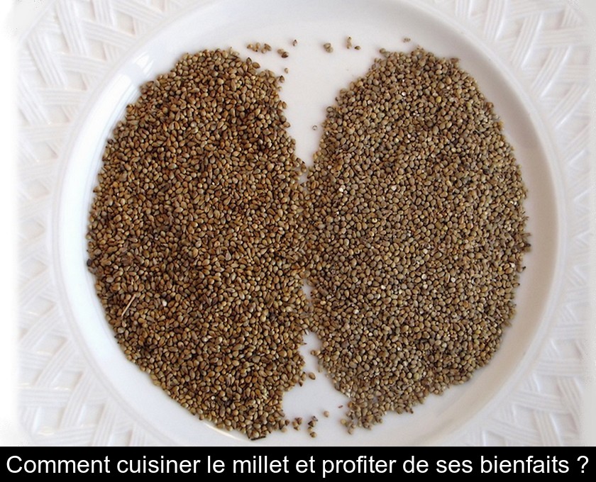 Comment cuisiner le millet et profiter de ses bienfaits