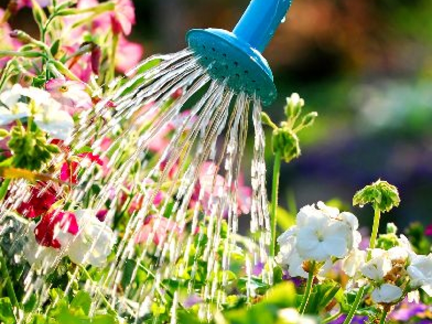 Comment économiser l'eau au jardin ? Comment économiser l'eau au jardin ?