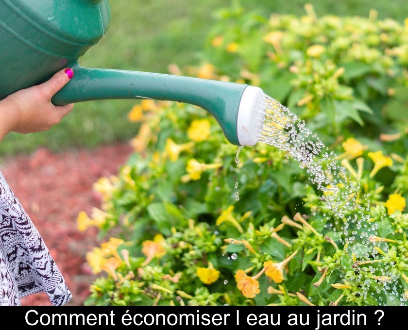 Comment économiser l'eau au jardin ? Comment économiser l'eau au jardin ?